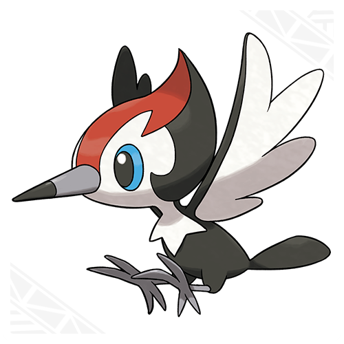 pikipek.png