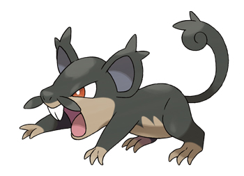 rattata_a.jpg