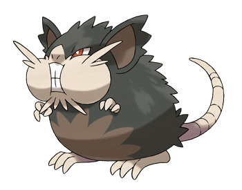 raticate_a.jpg