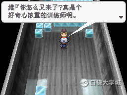 口袋妖怪黑中文版__29095_1.png