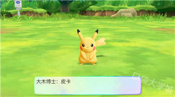 去皮 (26).jpg
