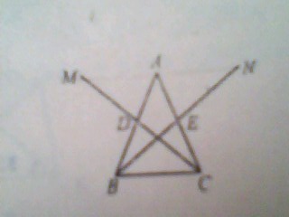 IMG0998A.jpg