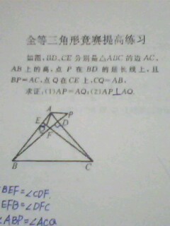 IMG1019A.jpg