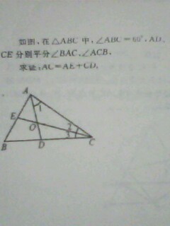 IMG1023A.jpg