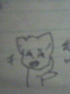 IMG1143A.jpg
