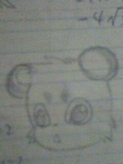 IMG1144A.jpg