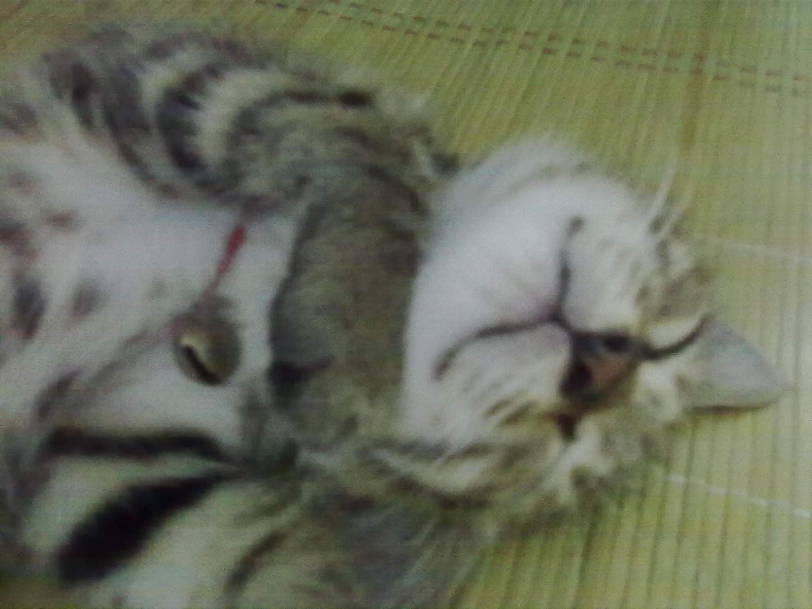 10082011632.jpg