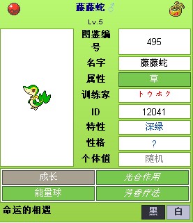 东北藤藤蛇.jpg