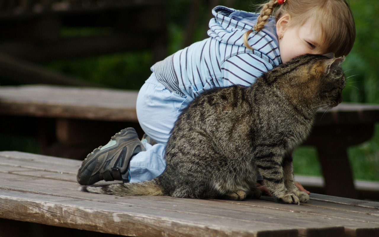 cat_and_little_girl-1280x800.jpg